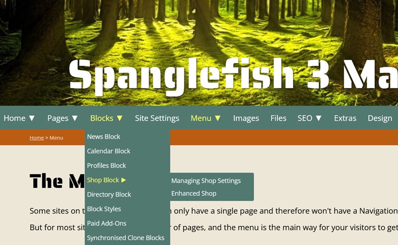 Screenshot of website menu with dropdowns