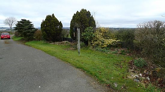 Garden in Front of Cottage in March so a Bit Bare!