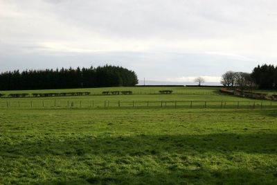 Looking South-East from the front of the house - more or less as seen from the living room window.