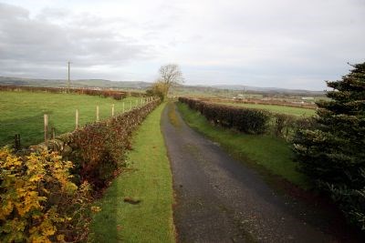 Looking North down the drive.