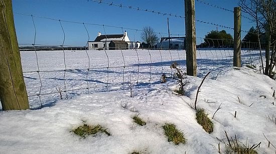 Sunny and snowy, 1st Feb 2015.