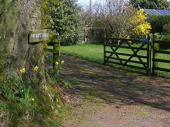 Looking in at the gate from the West.