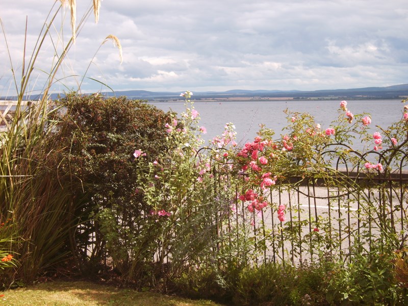 Front garden overlooking Moray Firth