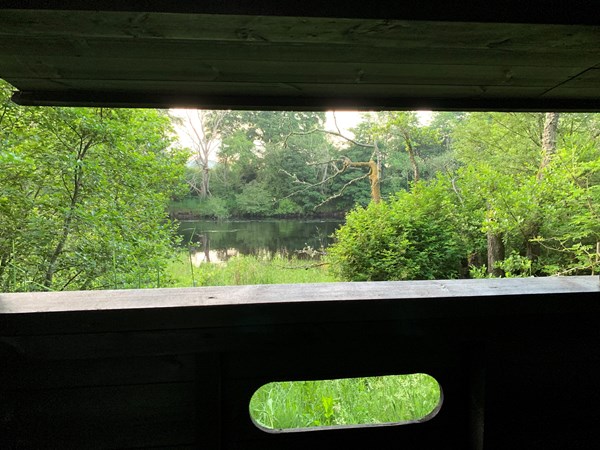 View from bird hide