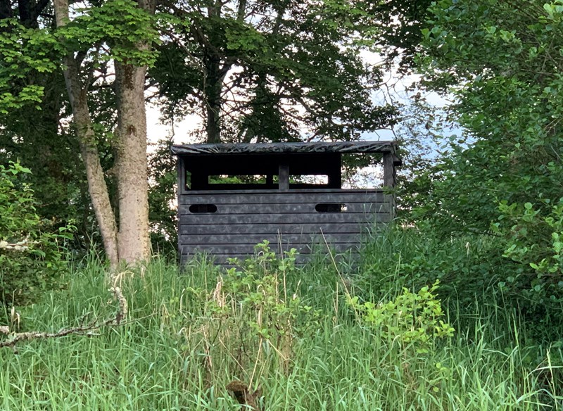 Bird hide