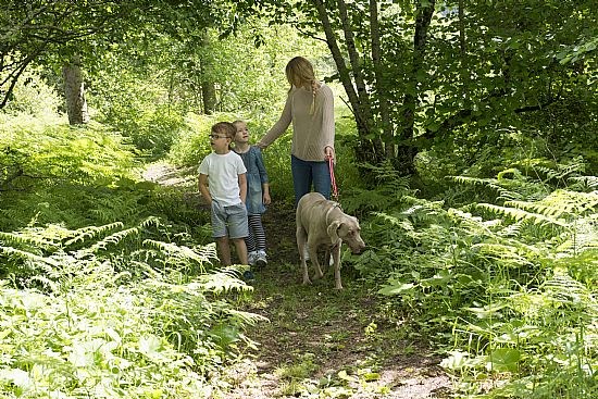 Exploring the paths