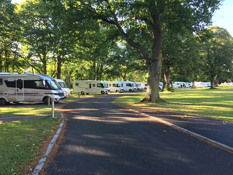 Motorhomes on pitches