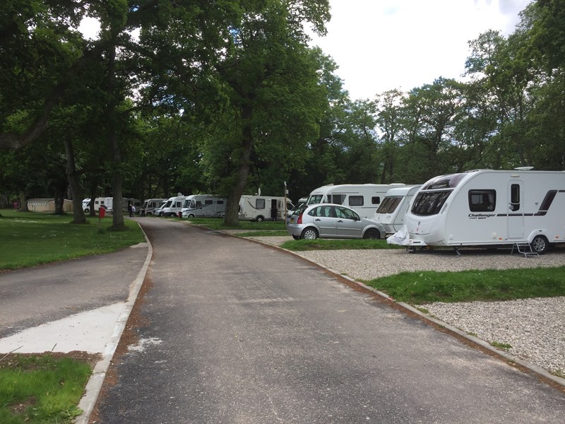 Motorhomes on pitches