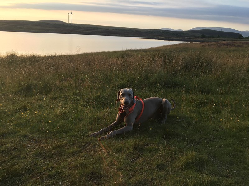 Loch Nam Bonnach