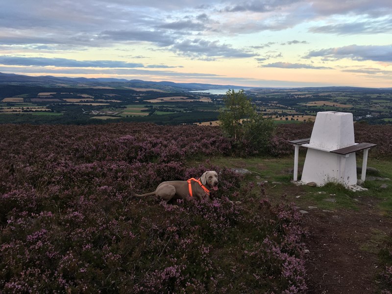 Ord Hill