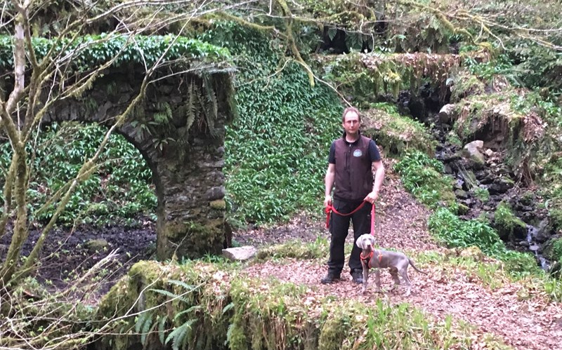 Reelig Glen