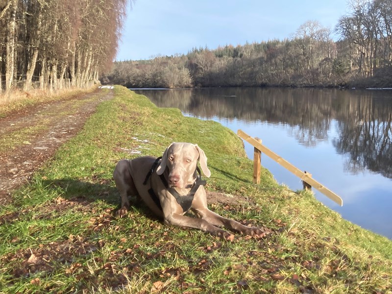River Beauly Walk