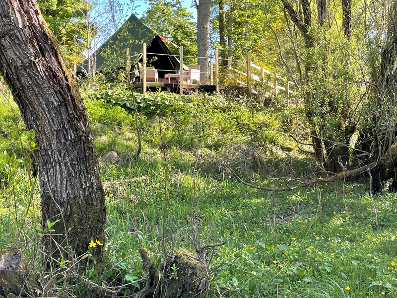 River view bell tent