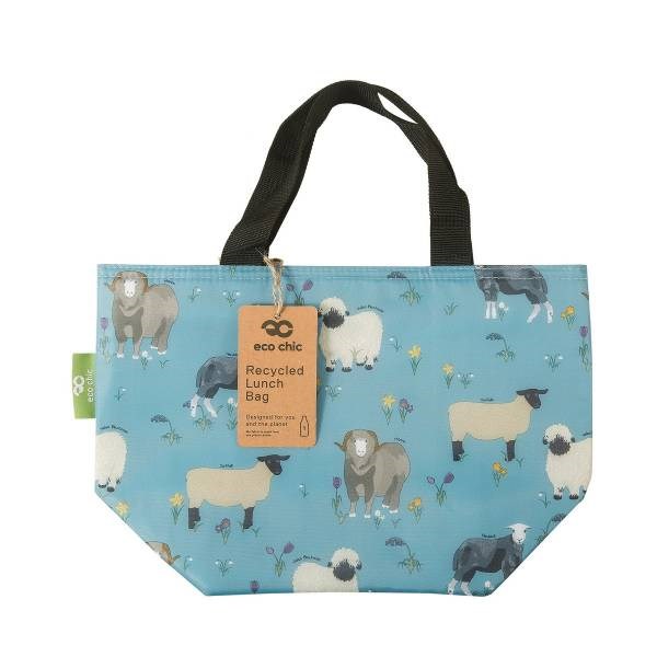 Sheep blue