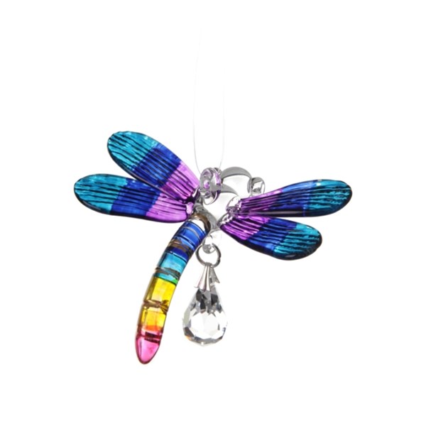 Dragonfly (Tropical)