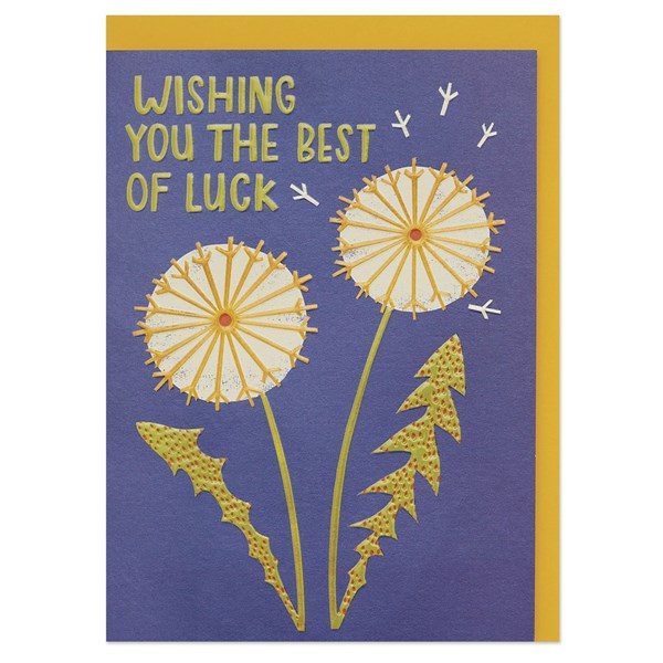 Wishing you the Besst of Luck