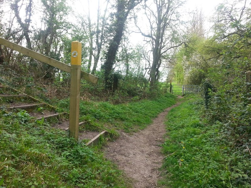 Local footpaths