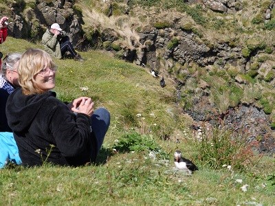 Getting up close to Puffins