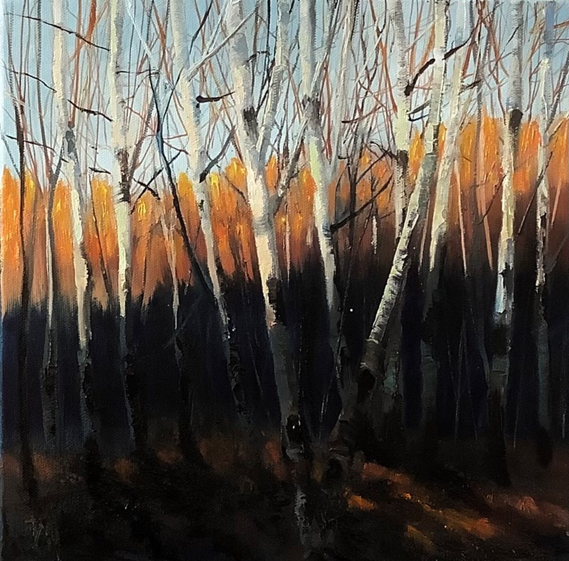 Autumn birches, Lochardil