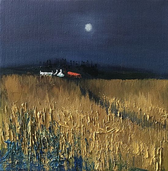 Late summer night, Black Isle