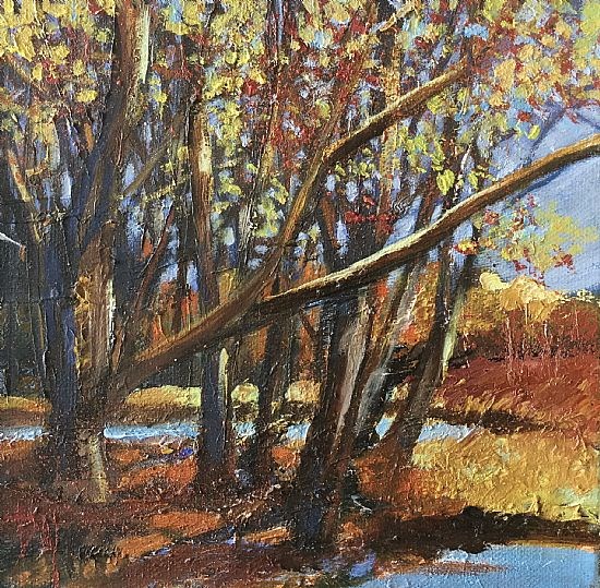 Autumn study, Torbreck