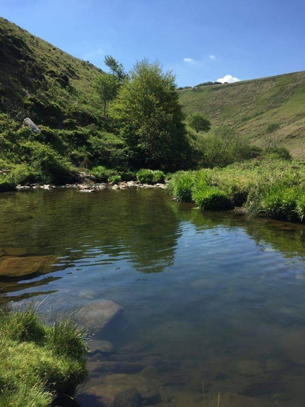 River Barle near Cow Castle by Jayne Chanter