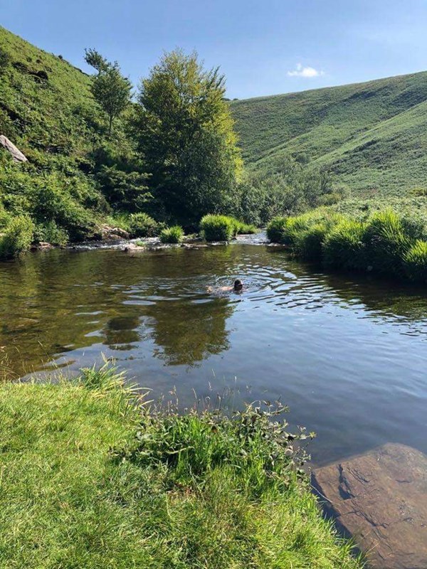 River Barle near Cow Castle by Jayne Chanter