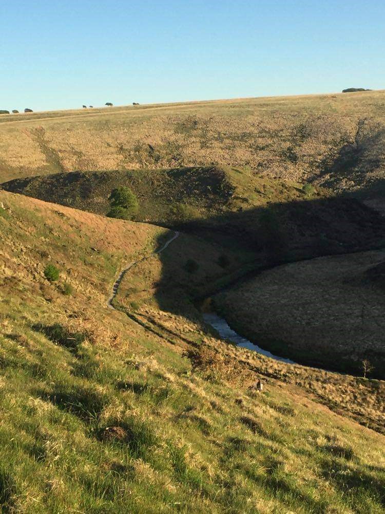 River Barle by Jayne Chanter