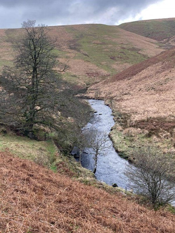 River Barle and Wheal Eliza by Jayne Chanter