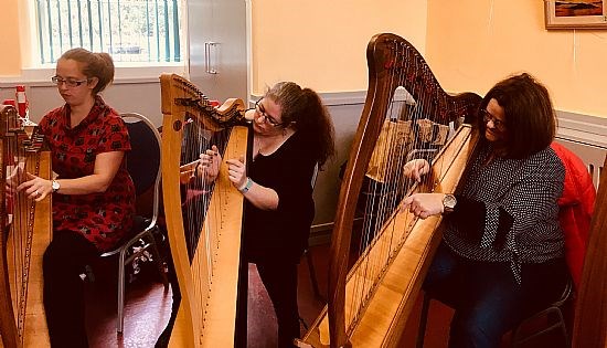 Harp Taster Saturday September 2018