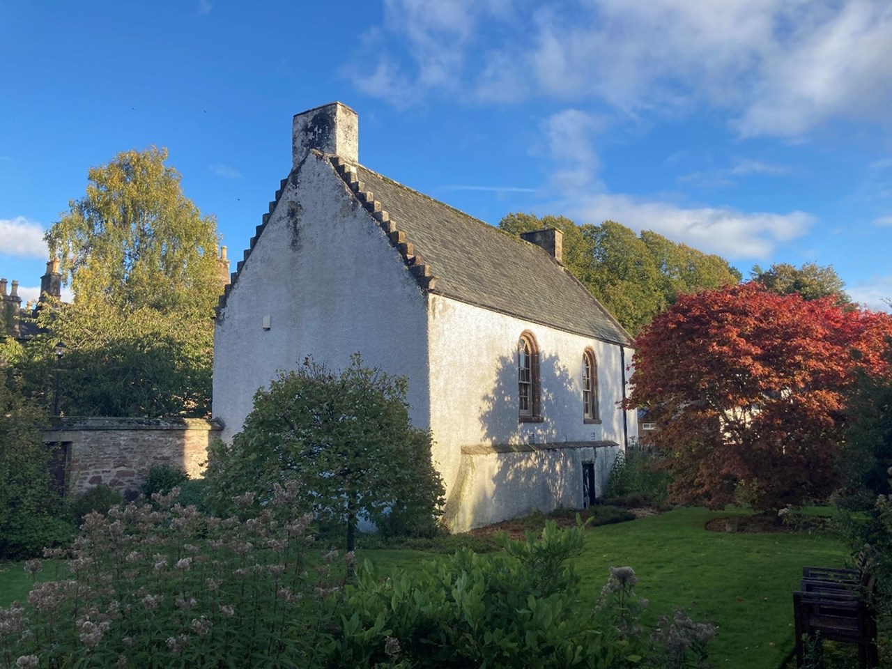 After tree surgery just prior to restoration work beginning