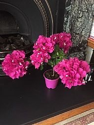 4-011