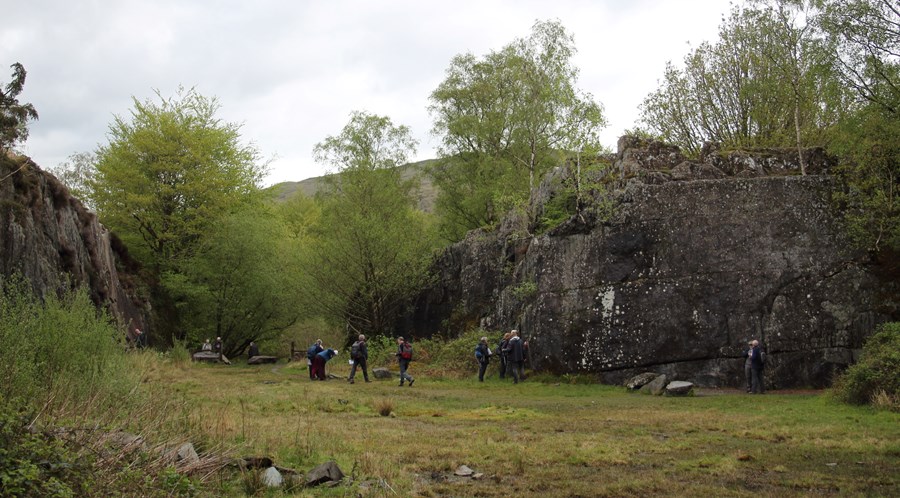 Brown Howe Quarry