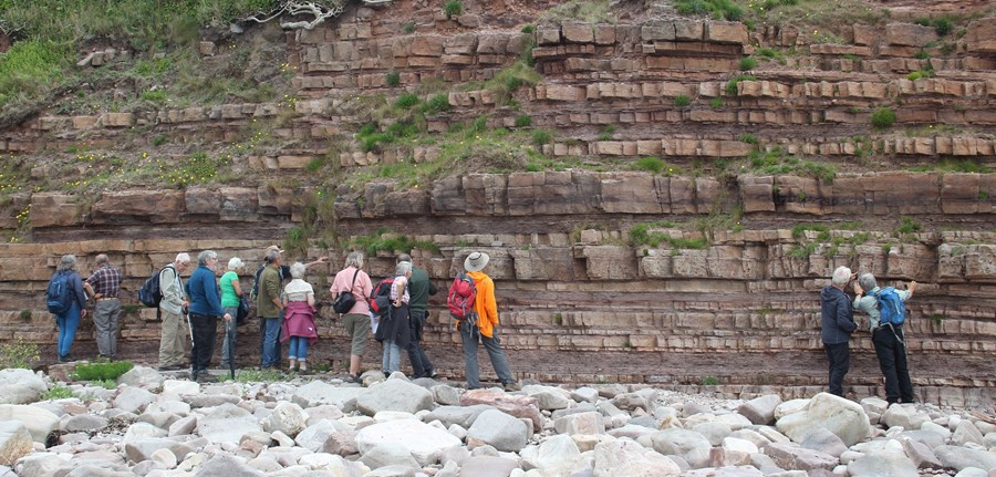 Heysham coastal section Namurian sandstones