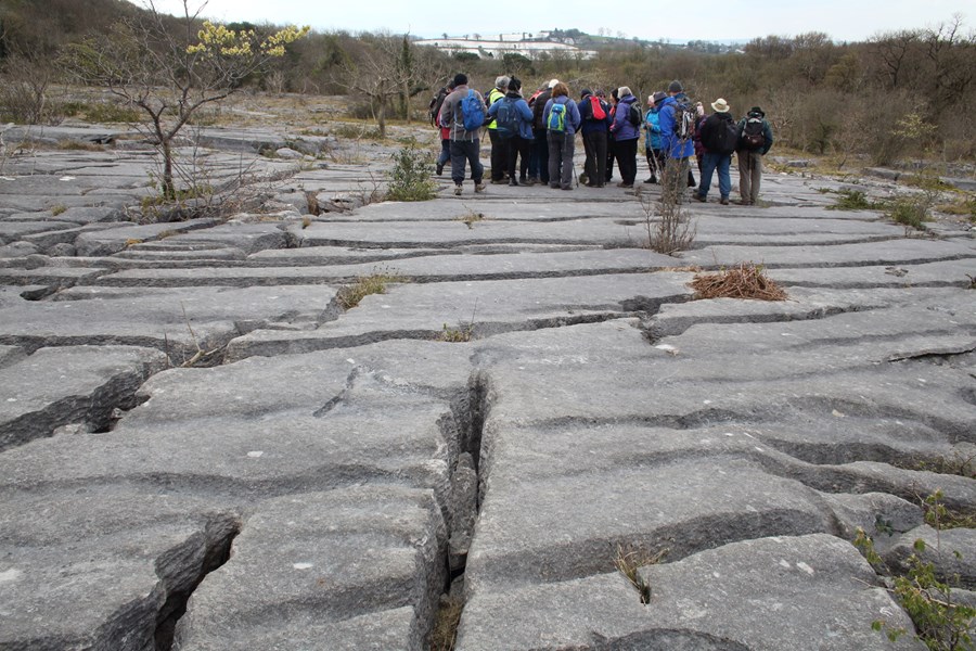 Holmepark Fell Limestone Pavement
