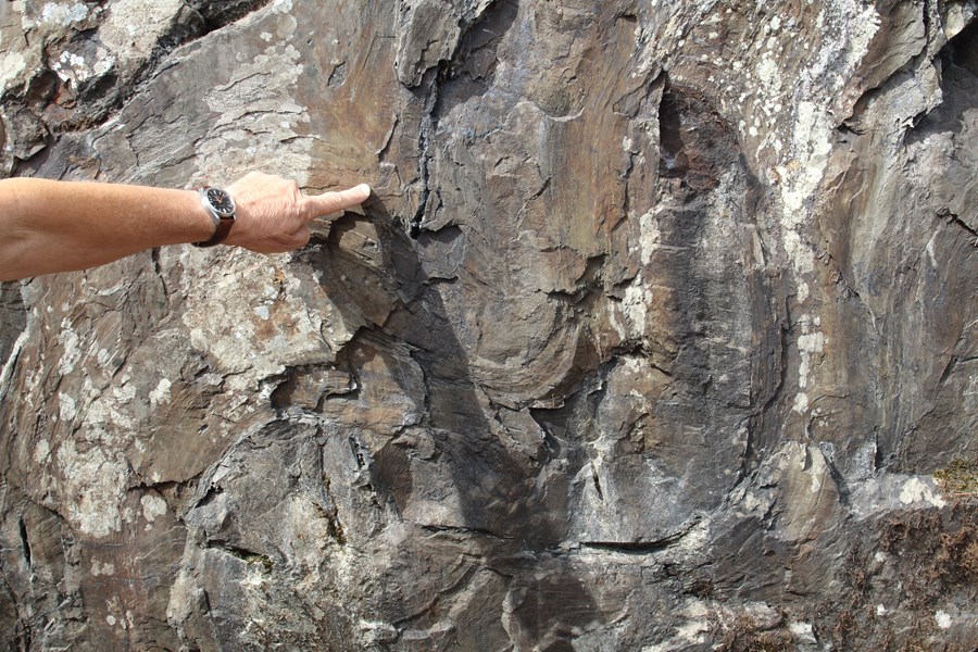 Slump Fold in the Skiddaw Slates