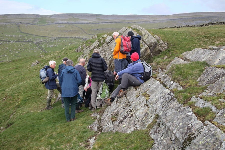 Silurian rocks in Crummackdale