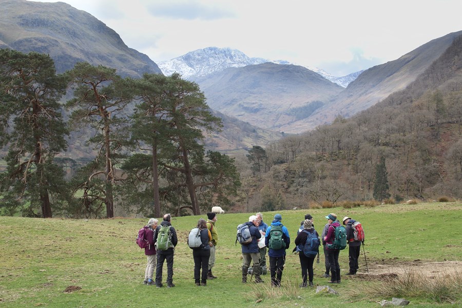 Surveying the landscape upper Borrowdale