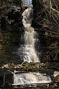 mill gill force in the Gayle cyclothem
