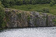 Urswick Limestone at Overhead Quarry