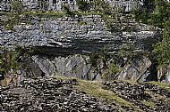The classic basal Carboniferous unconformity at Combs Quarry