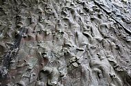 Flute casts at Eccle Riggs Quarry. Which direction was the current flowing.