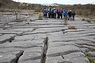 Holmepark Fell - limestone pavement