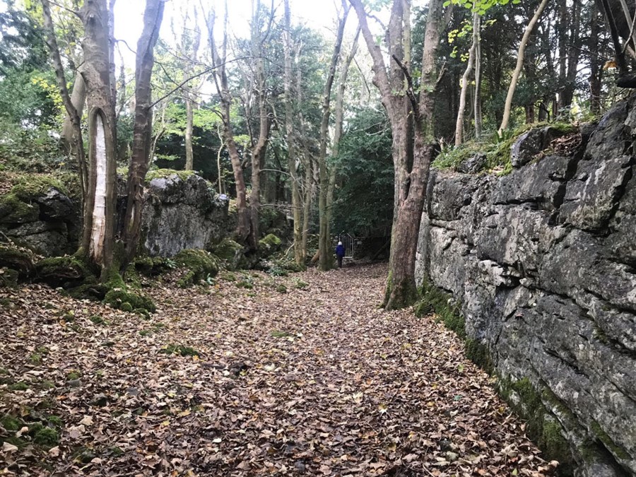 Trowbarrow Urswick LimestoneFormation recessive Woodbine Shale Member