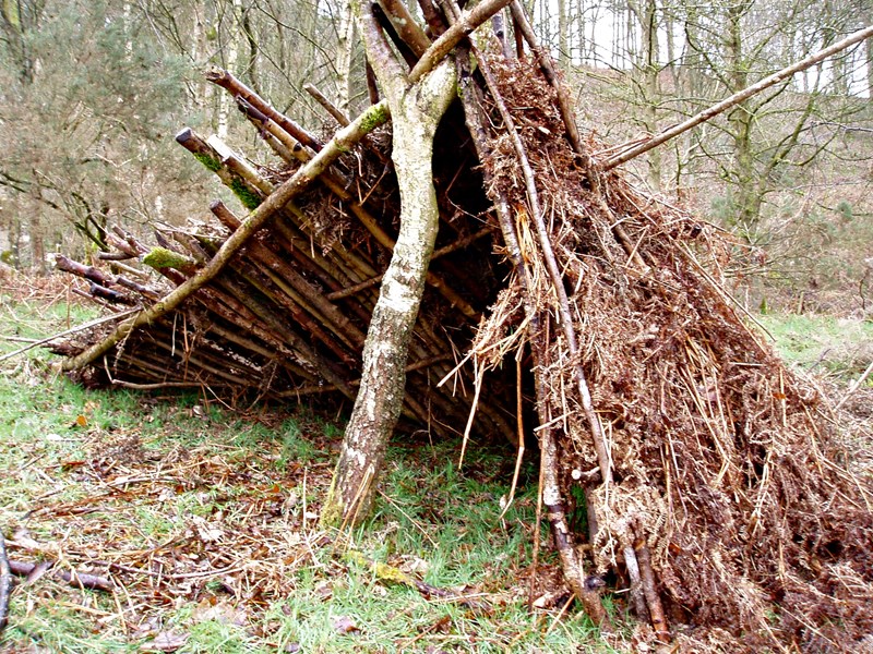 Bushcraft adventure activity sessions in Northumberland, North East England