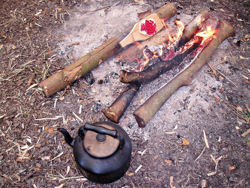 Fire making and cooking bushcraft skills 