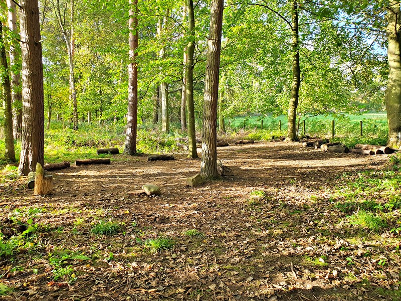 Forest schools activity sessions in Cumbria, North West England