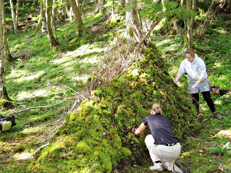 Forest schools for nurseries, first, middle and primary schools 