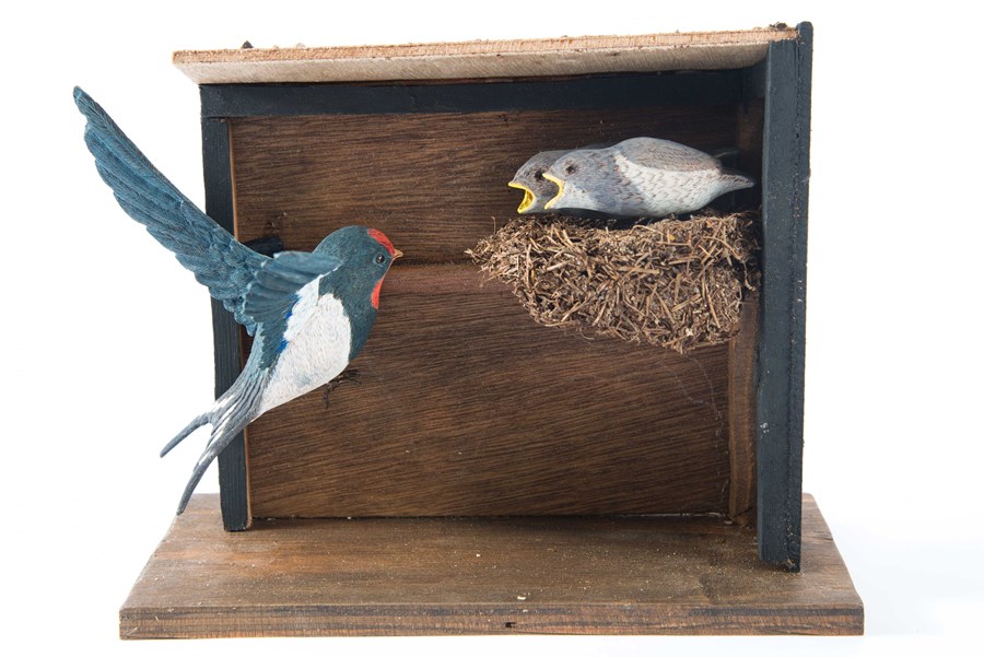 Swallow by Harold Wibberley