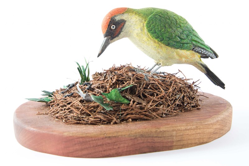 Green Woodpecker by harold Wibberley